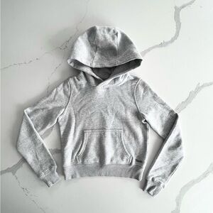 Aritzia TNA Heather Chrome Snug Fit Hoodie
